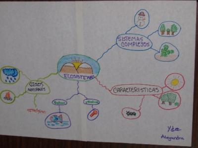 !Quu&eacute; desperdicio!